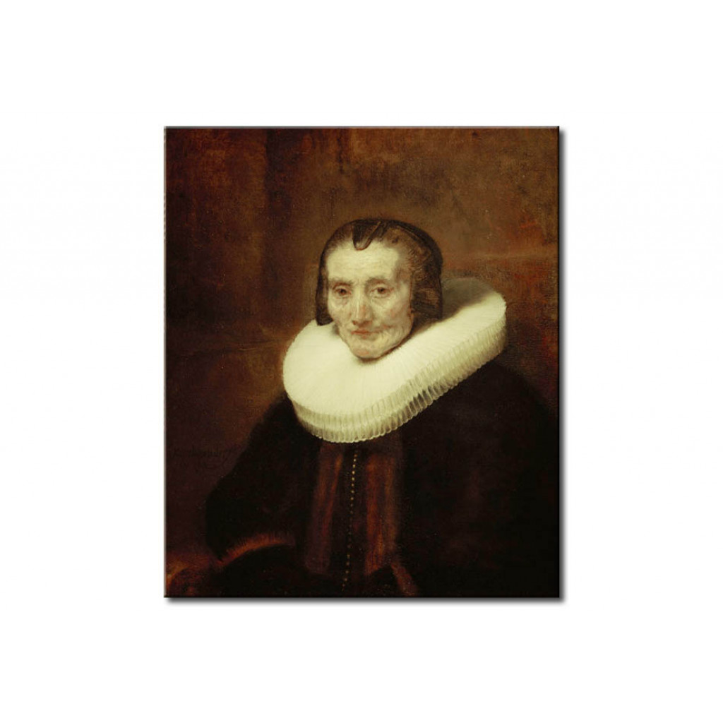 Schilderij  Rembrandt: Portrait Of Margaretha De Geer