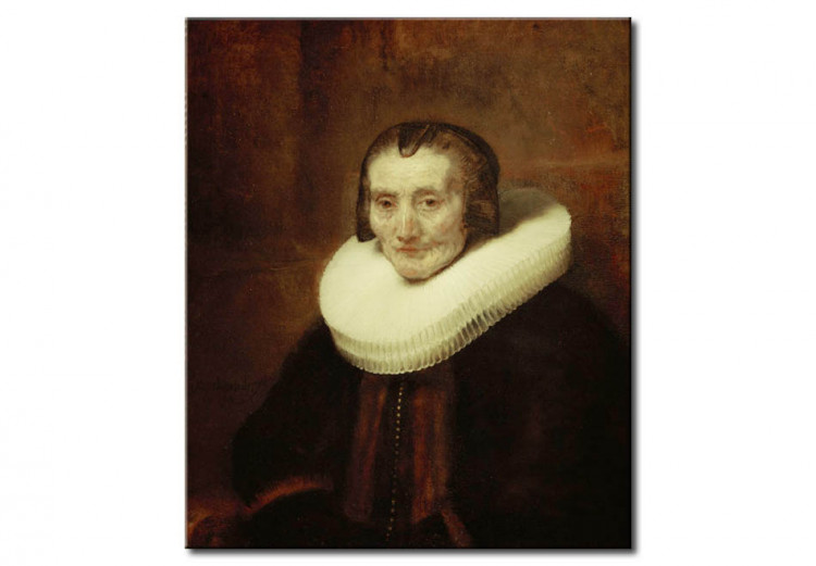 Reprodukcja obrazu Portrait of Margaretha de Geer 52095