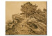 Riproduzione La Rocca di Montmajour con alberi di pino 52395