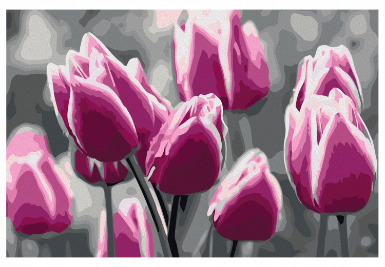 Cuadro para pintar por números Campo de tulipanes 107506 additionalImage 7