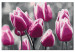 Tableau peinture par numéros Champ de tulipes 107506 additionalThumb 6