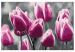 Tableau peinture par numéros Champ de tulipes 107506 additionalThumb 7