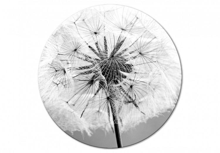 Rund tavla The Power of Nature - A Black and White Close-up of a Dandelion in the Wind 148606