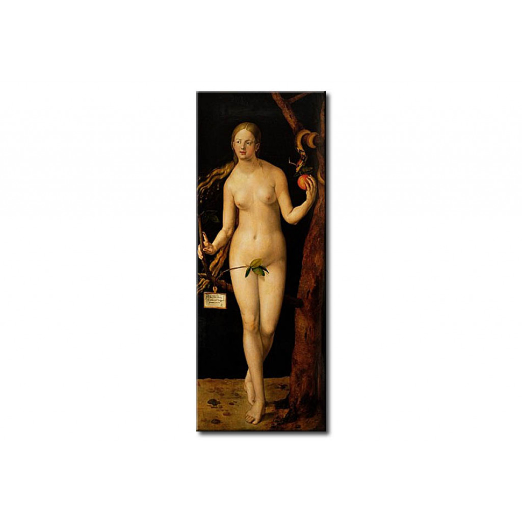 Schilderij  Albrecht Dürer: Eve