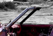 Bild auf Leinwand Retro car at Colorado Desert - 4 pieces 59006 additionalThumb 4