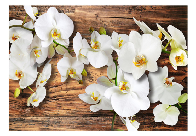 Fototapeta Leśna orchidea - naturalne białe kwiaty na tle starego ciemnego drewna 60306 additionalImage 1