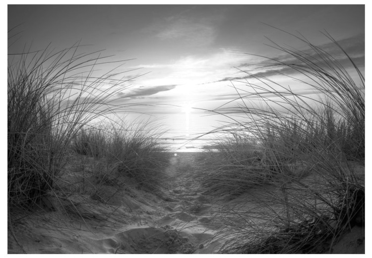 Fototapeta Plaża (czarno-biały) 61606 additionalImage 1
