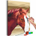 Obraz do malowania po numerach Gniady koń 107516 additionalThumb 3