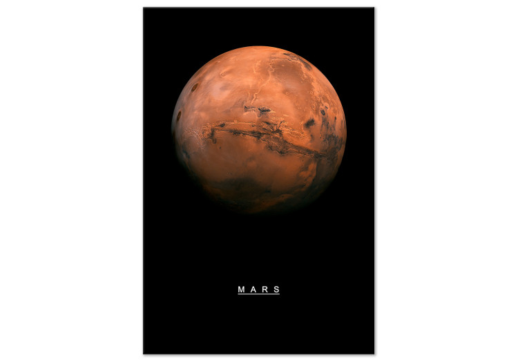Obraz na płótnie Mars (1-częściowy) pionowy