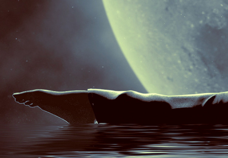 Quadro su tela Ballerina lunare - ballerina su uno sfondo di acqua e una luna 122916 additionalImage 4