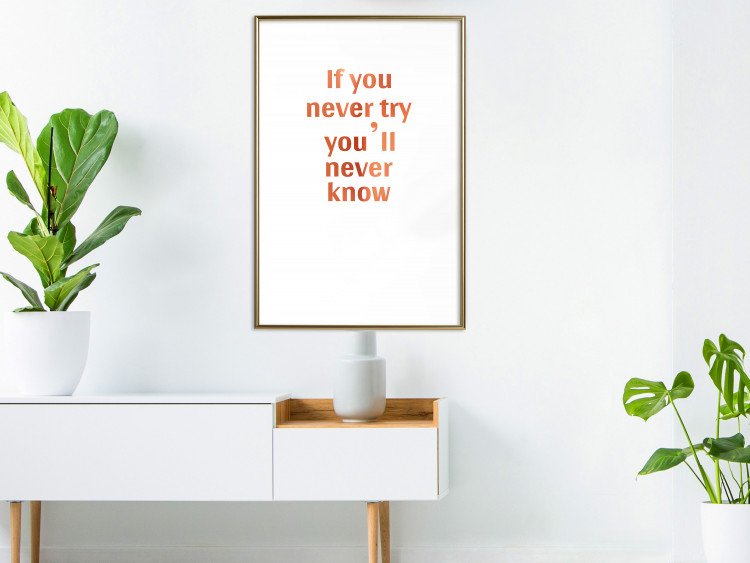 Wall Poster If You Never Try You'll Never Know [Deco Poster - Copper] 126616 additionalImage 24