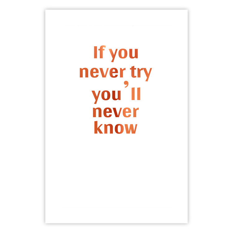 Wall Poster If You Never Try You'll Never Know [Deco Poster - Copper] 126616 additionalImage 32