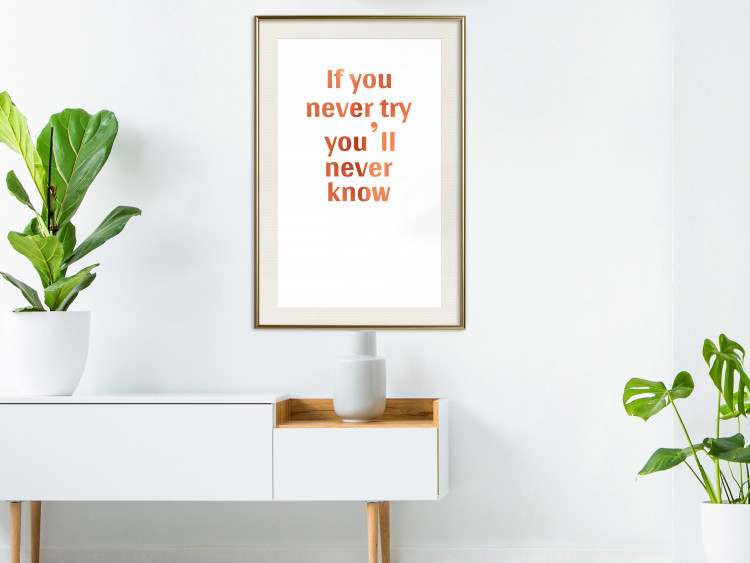 Wall Poster If You Never Try You'll Never Know [Deco Poster - Copper] 126616 additionalImage 37