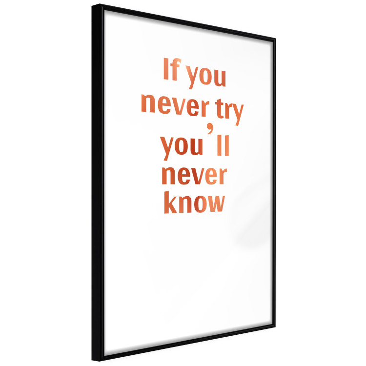 Wall Poster If You Never Try You'll Never Know [Deco Poster - Copper] 126616 additionalImage 17