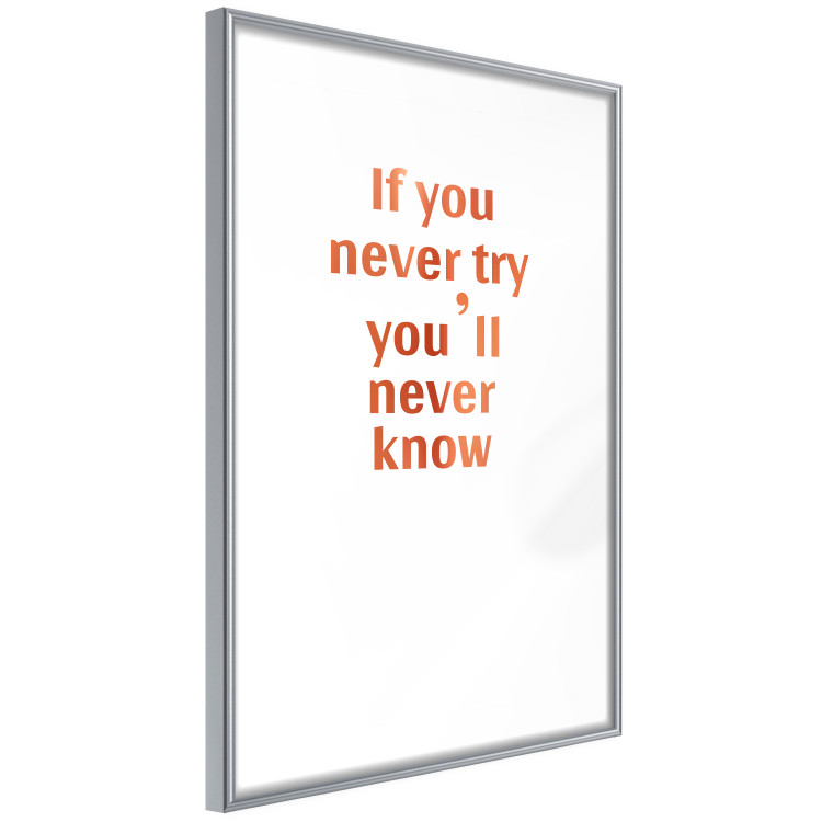 Wall Poster If You Never Try You'll Never Know [Deco Poster - Copper] 126616 additionalImage 12