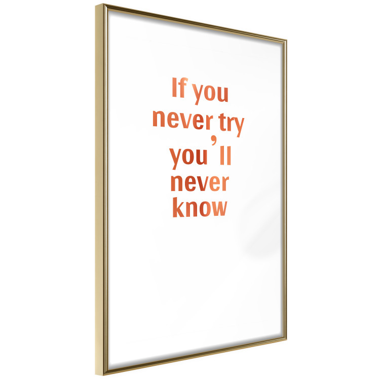 Wall Poster If You Never Try You'll Never Know [Deco Poster - Copper] 126616 additionalImage 13