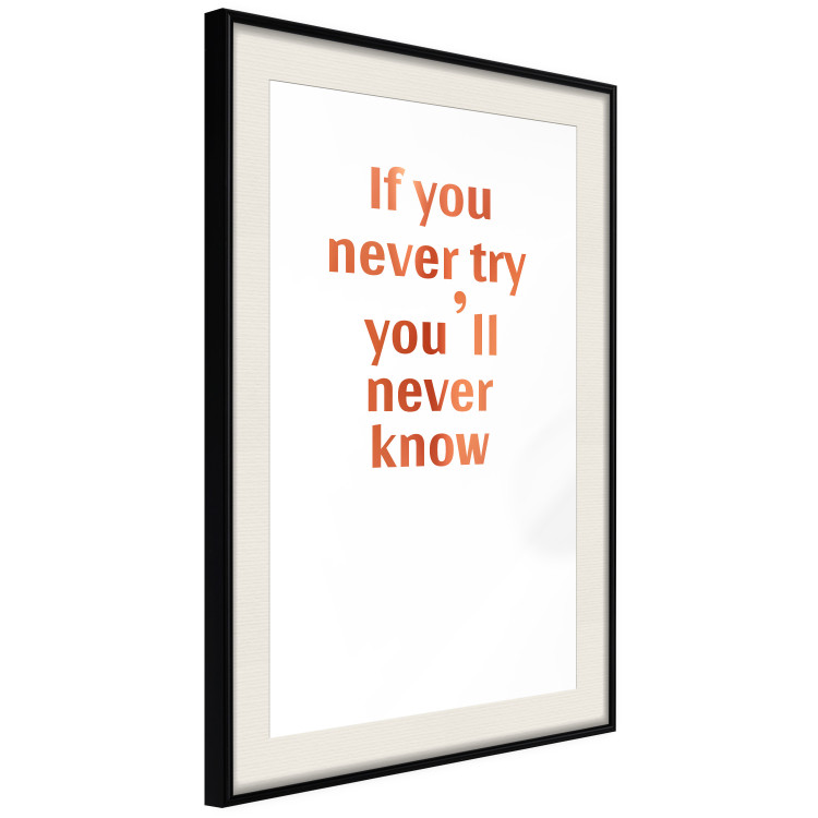 Wall Poster If You Never Try You'll Never Know [Deco Poster - Copper] 126616 additionalImage 5