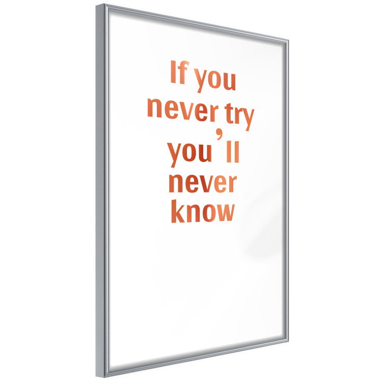 Wall Poster If You Never Try You'll Never Know [Deco Poster - Copper] 126616 additionalImage 21