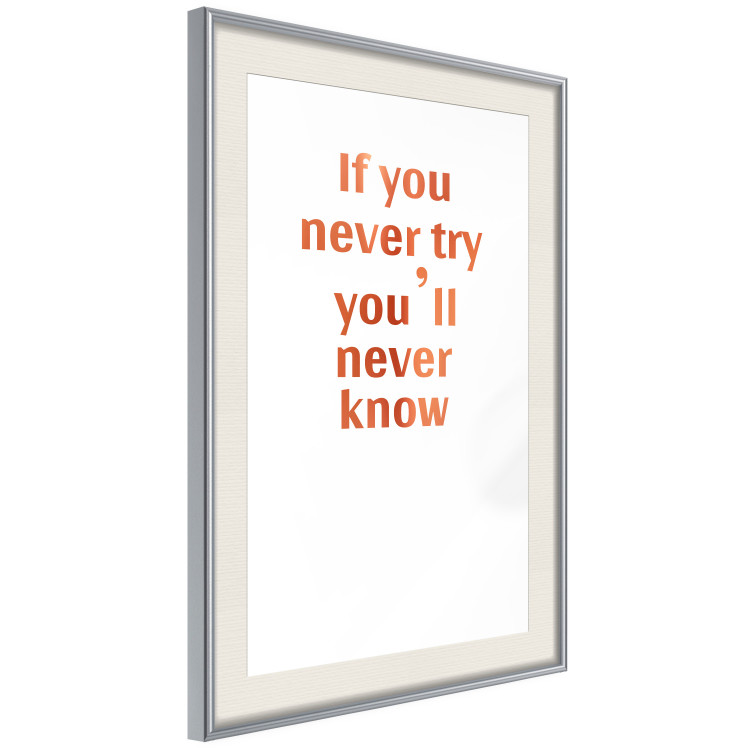 Wall Poster If You Never Try You'll Never Know [Deco Poster - Copper] 126616 additionalImage 2