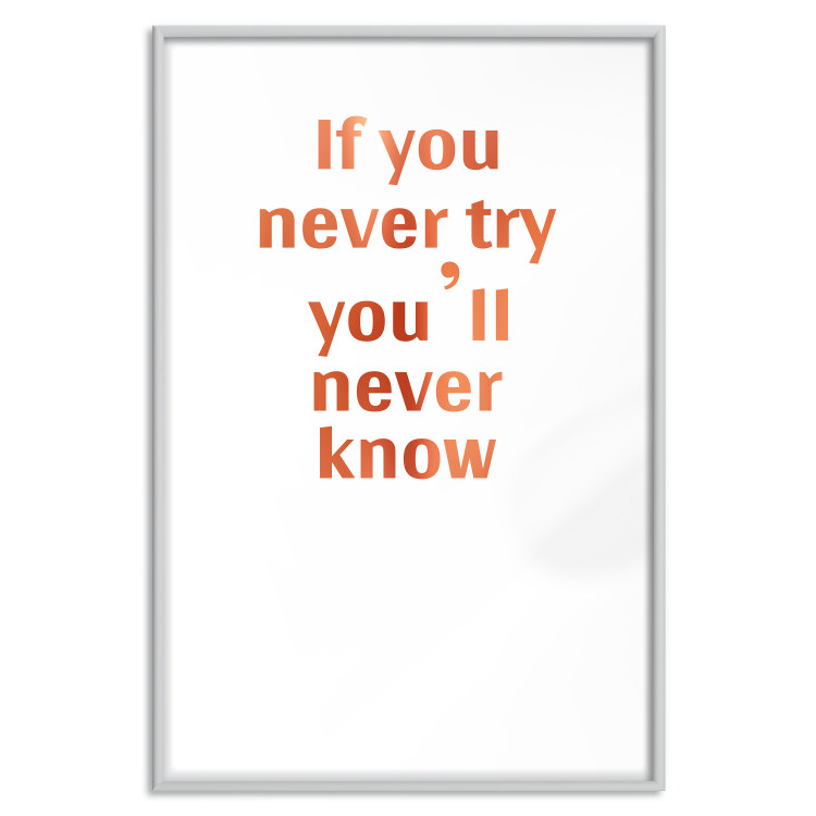 Wall Poster If You Never Try You'll Never Know [Deco Poster - Copper] 126616 additionalImage 33