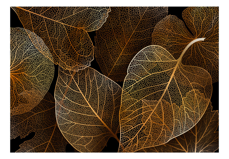 Wall Murals - Autumn nature with gold elements on black background - 138616  –