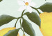 Rund tavla Lemon Sorrento - Sunny Summer Shrub With Fresh Fruit  148616 additionalThumb 2