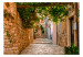 Photo Wallpaper A Charming Backstreet in Dubrovnik - An Old Street With Townhouses and Staircases 151016 additionalThumb 1