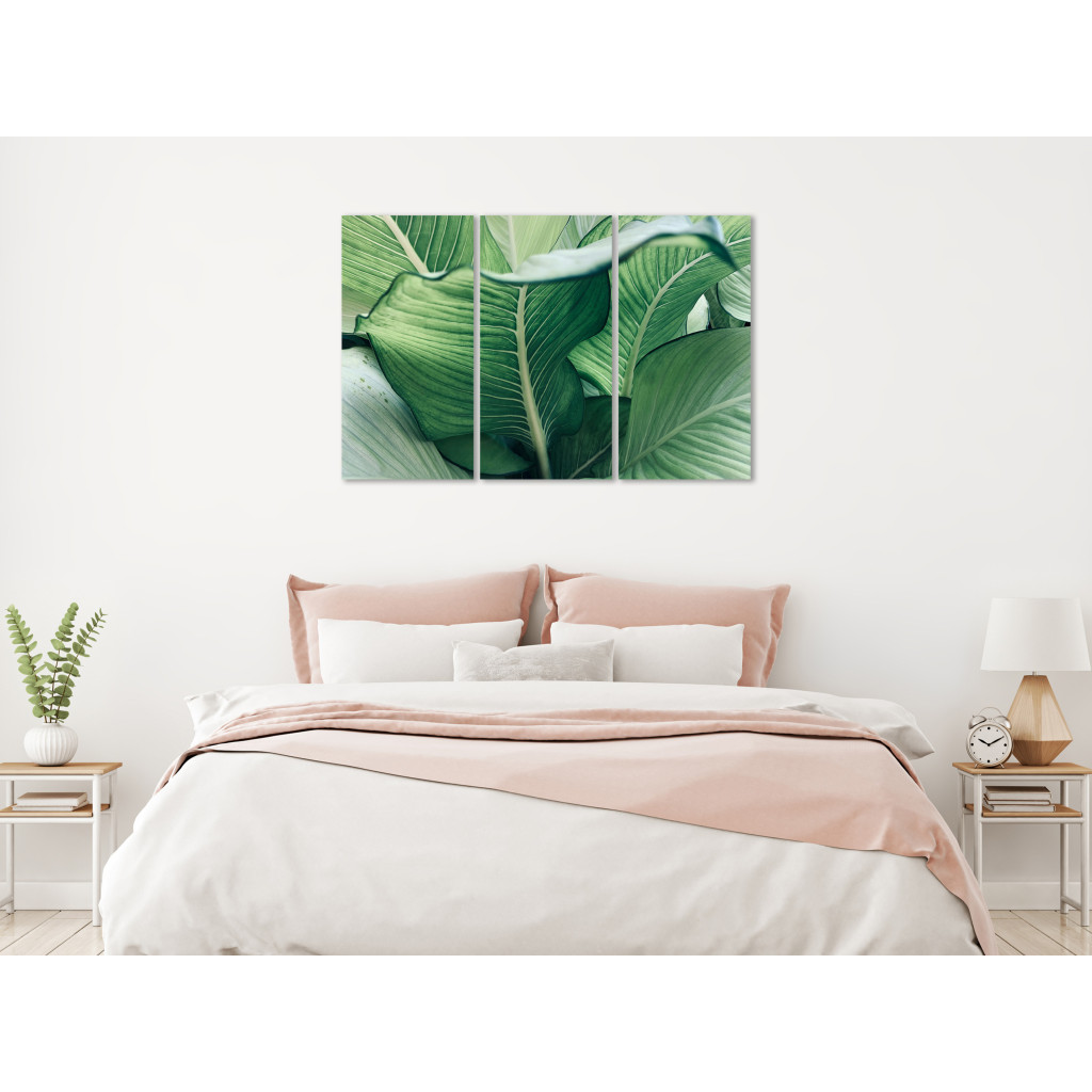 Quadro Close To Nature - Large Leaves In Juicy Shades Of Green
