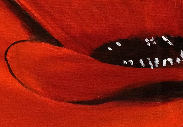 Leinwandbild Besonders rote Mohnblume (5-teilig) - Weißen Blumen 47516 additionalImage 4