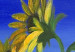 Tableau sur toile Nature estivale (1 pièce) - Imposants tournesols sur fond bleu 48616 additionalThumb 3