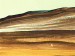 Cuadro moderno Árbol en un desierto  49816 additionalThumb 3