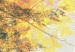 Cuadro Belleza de otoño - Tríptico 50216 additionalThumb 5
