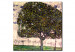 Riproduzione quadro The Apple Tree II 52216