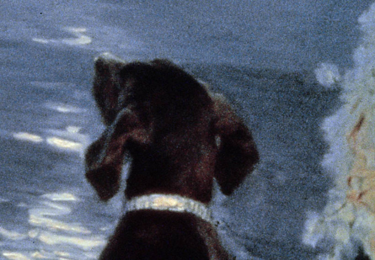 Tableau reproduction Soirée d'été à Skagen, femme de l'artiste avec un chien sur la plage 52916 additionalImage 2