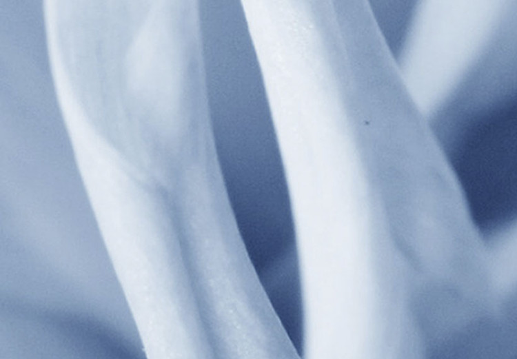 Quadro contemporaneo Fiore azzurro di dalia 58516 additionalImage 5