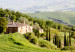 Fototapeta Pod słońcem Toskanii - pejzaż wzgórz z drzewami we Włoszech z domem 97316