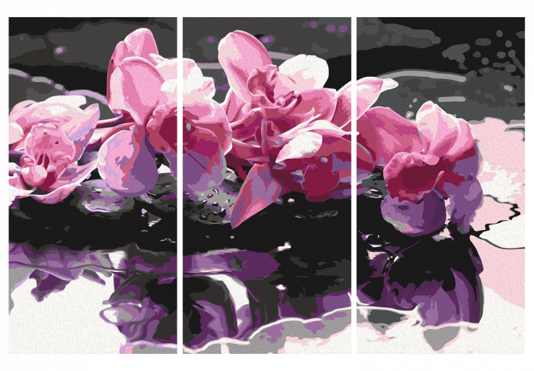 Obraz do malowania po numerach Tryptyk dzikie orchidee 108426 additionalImage 6