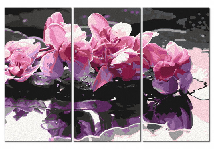 Obraz do malowania po numerach Tryptyk dzikie orchidee 108426 additionalImage 5