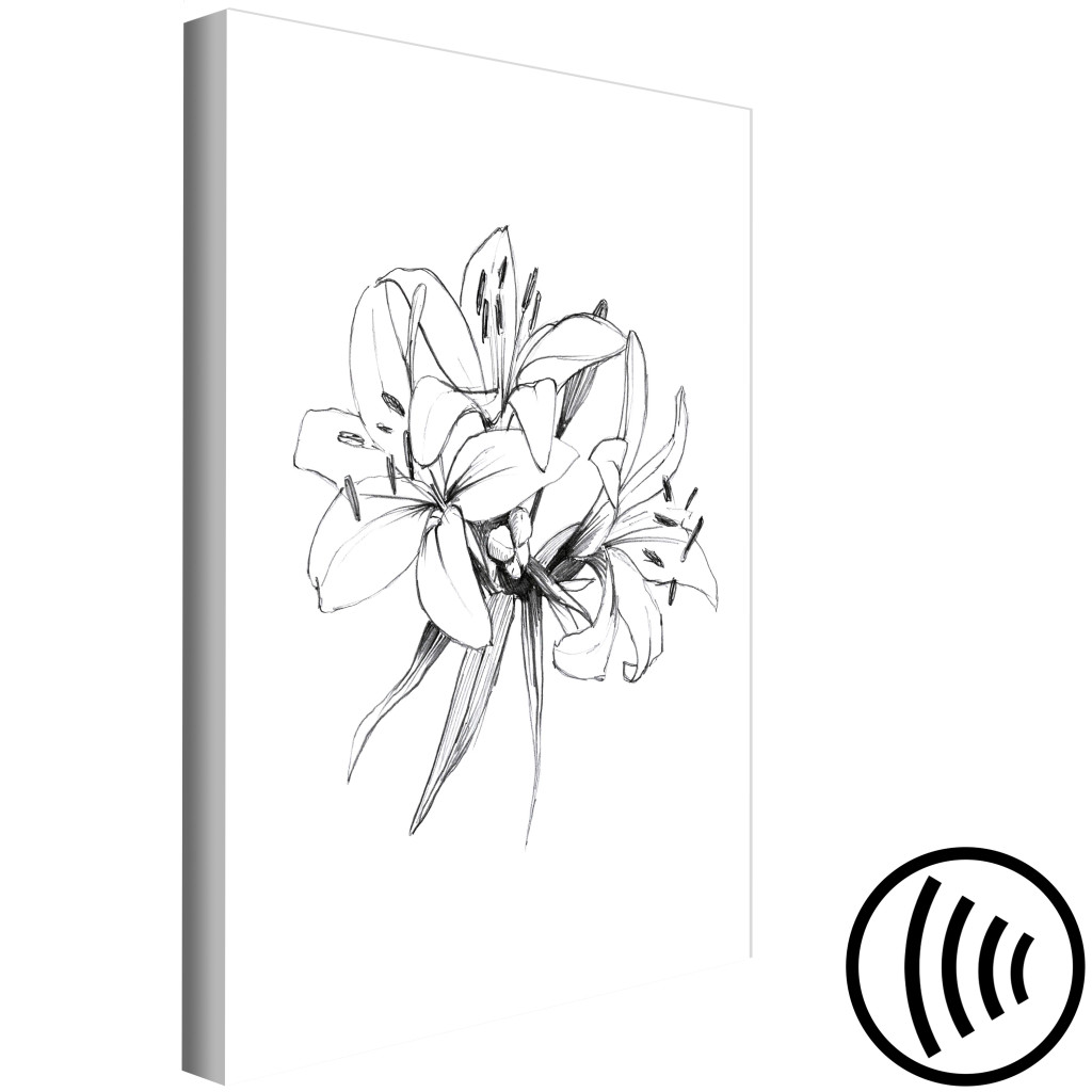 Obraz Czarno-białe Kwiaty - Abstrakcyjna, Delikatna Natura