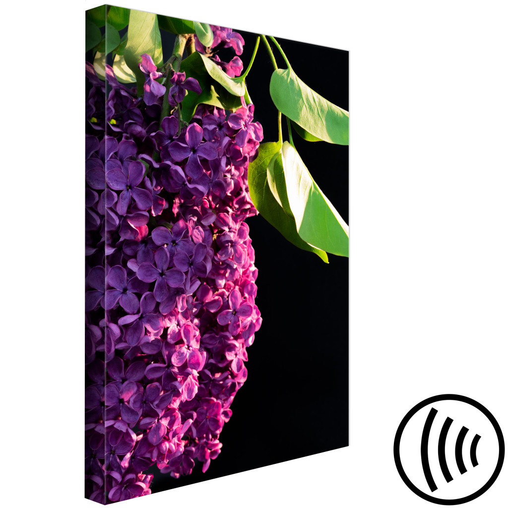 Schilderij  Andere Bloemen: Common Lilac - Foto Van Een Paarse Bloem En Bladeren