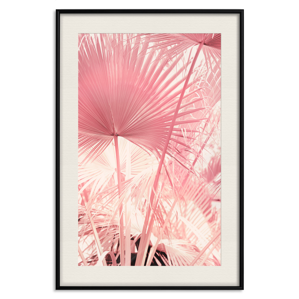 Plakat: Różowe Palmy - Liście W Pastelowych Kolorach W Słoneczny Dzień