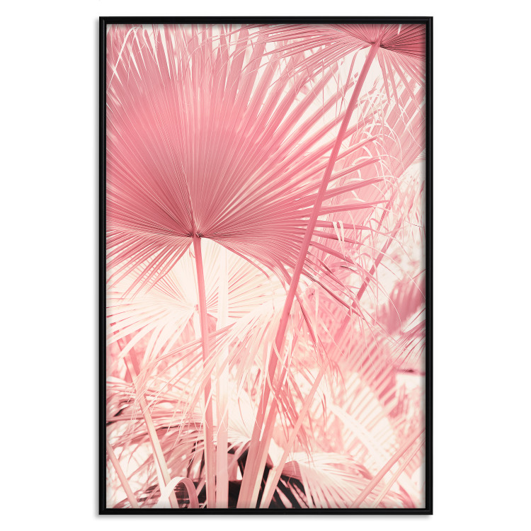 Plakat Różowe palmy - liście w pastelowych kolorach w słoneczny dzień