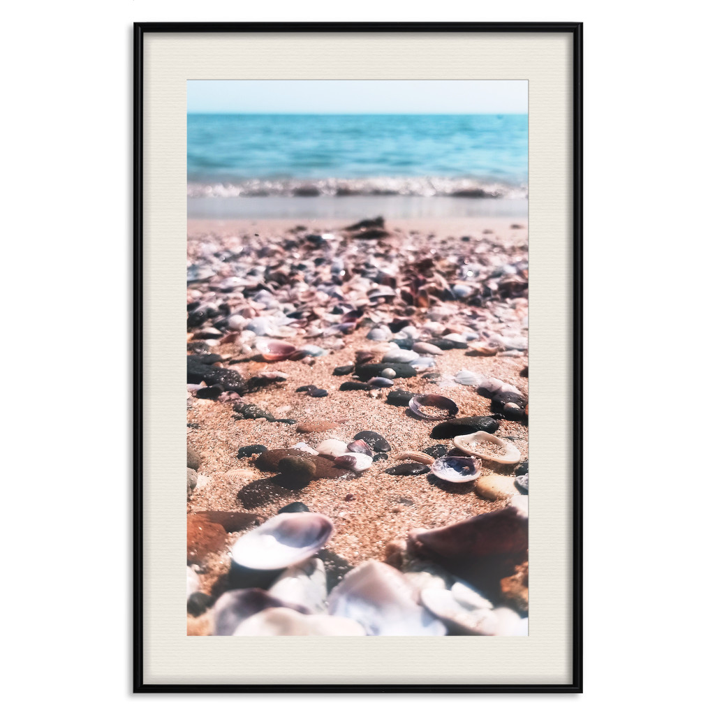 Muur Posters Summer Beach - Photo Of Seashells On The Shore Of The Blue Sea