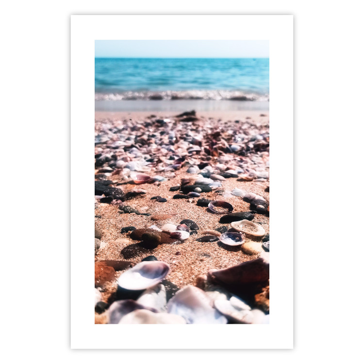 Cartel Summer Beach - Photo of Seashells on the Shore of the Blue Sea 146226 additionalImage 16