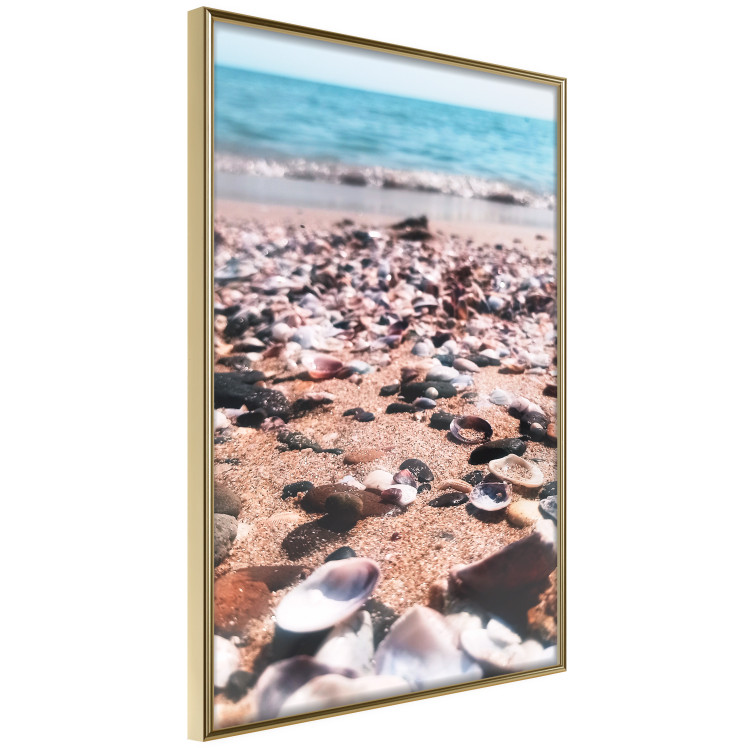 Wall Poster Summer Beach - Photo of Seashells on the Shore of the Blue Sea 146226 additionalImage 7
