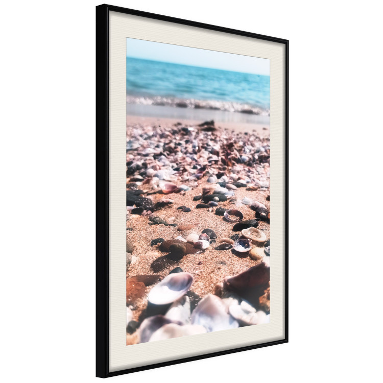 Cartel Summer Beach - Photo of Seashells on the Shore of the Blue Sea 146226 additionalImage 8