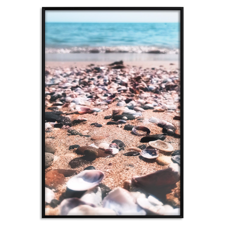 Cartel Summer Beach - Photo of Seashells on the Shore of the Blue Sea 146226 additionalImage 20
