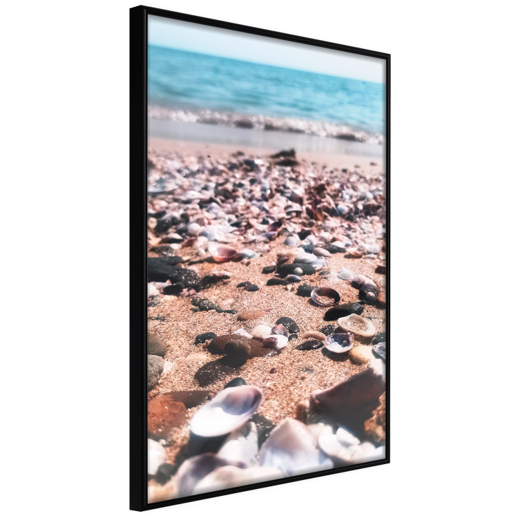 Wall Poster Summer Beach - Photo of Seashells on the Shore of the Blue Sea 146226 additionalImage 5