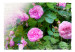 Mural Jardim de Verão - motivo de plantas com flores de rosa no centro e inscrição 60326 additionalThumb 1