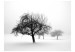 Photo Wallpaper Winter: Trees 60426 additionalThumb 1